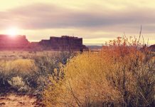 A landscape view across the American Southwest showing brush in the foreground and a mesa in the distance. The sun is just visible over the mesa.